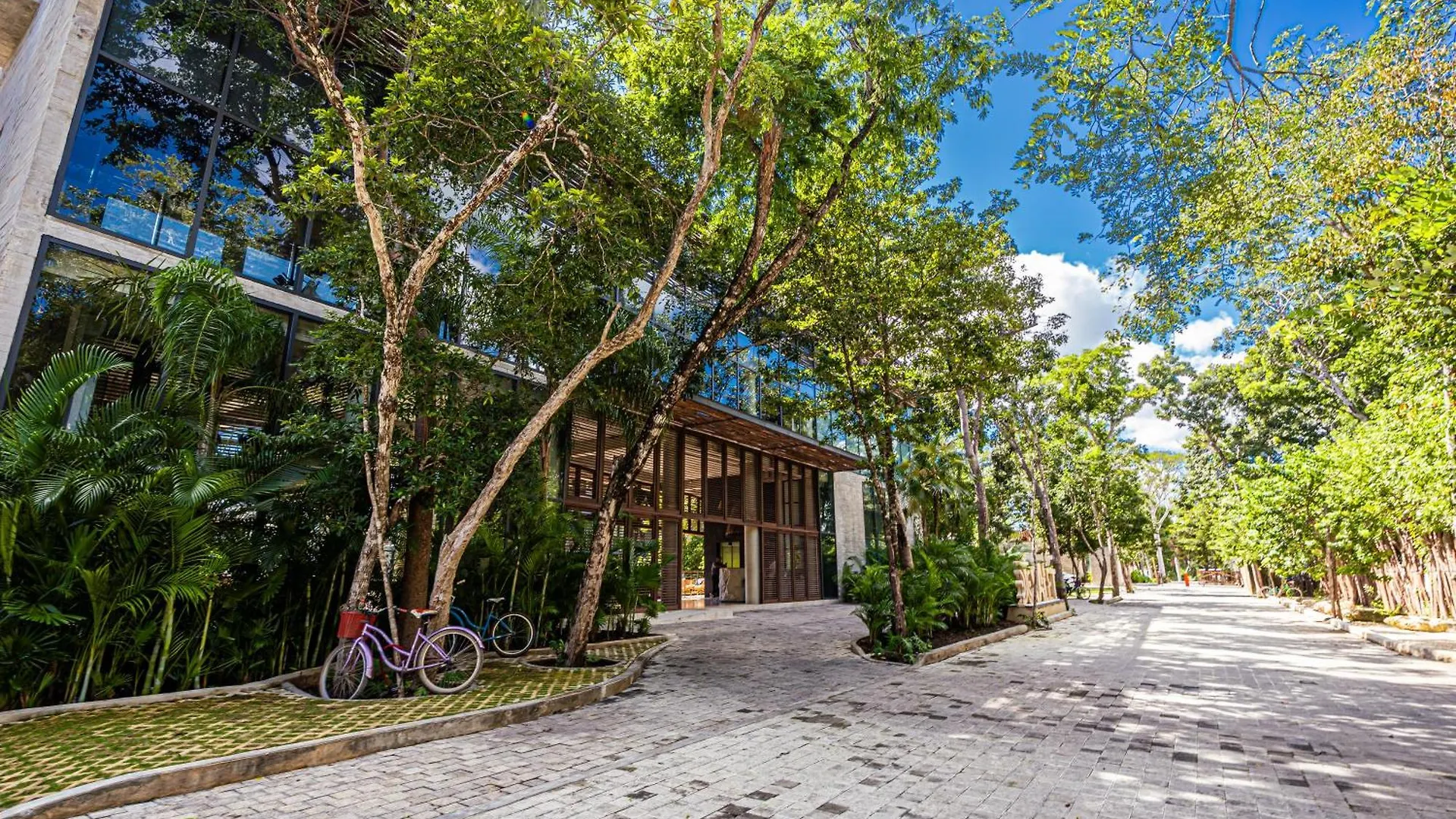 Serene Tulum Hideaway With Cenotes شقة